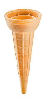 Roże Tulipan Iglo Grodcono